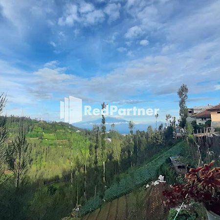Bromo Indah Lestari Homestay Mitra Reddoorz Pasuruan Εξωτερικό φωτογραφία
