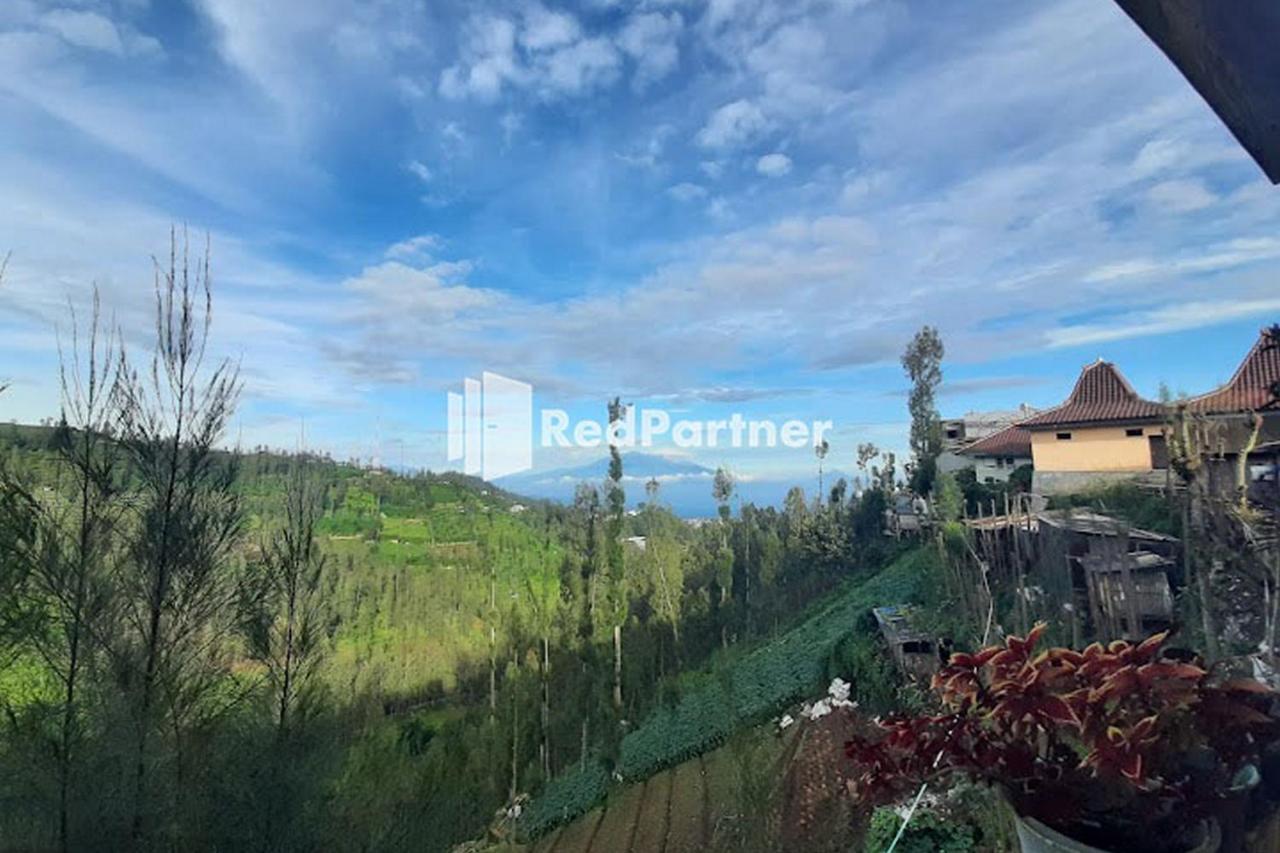 Bromo Indah Lestari Homestay Mitra Reddoorz Pasuruan Εξωτερικό φωτογραφία